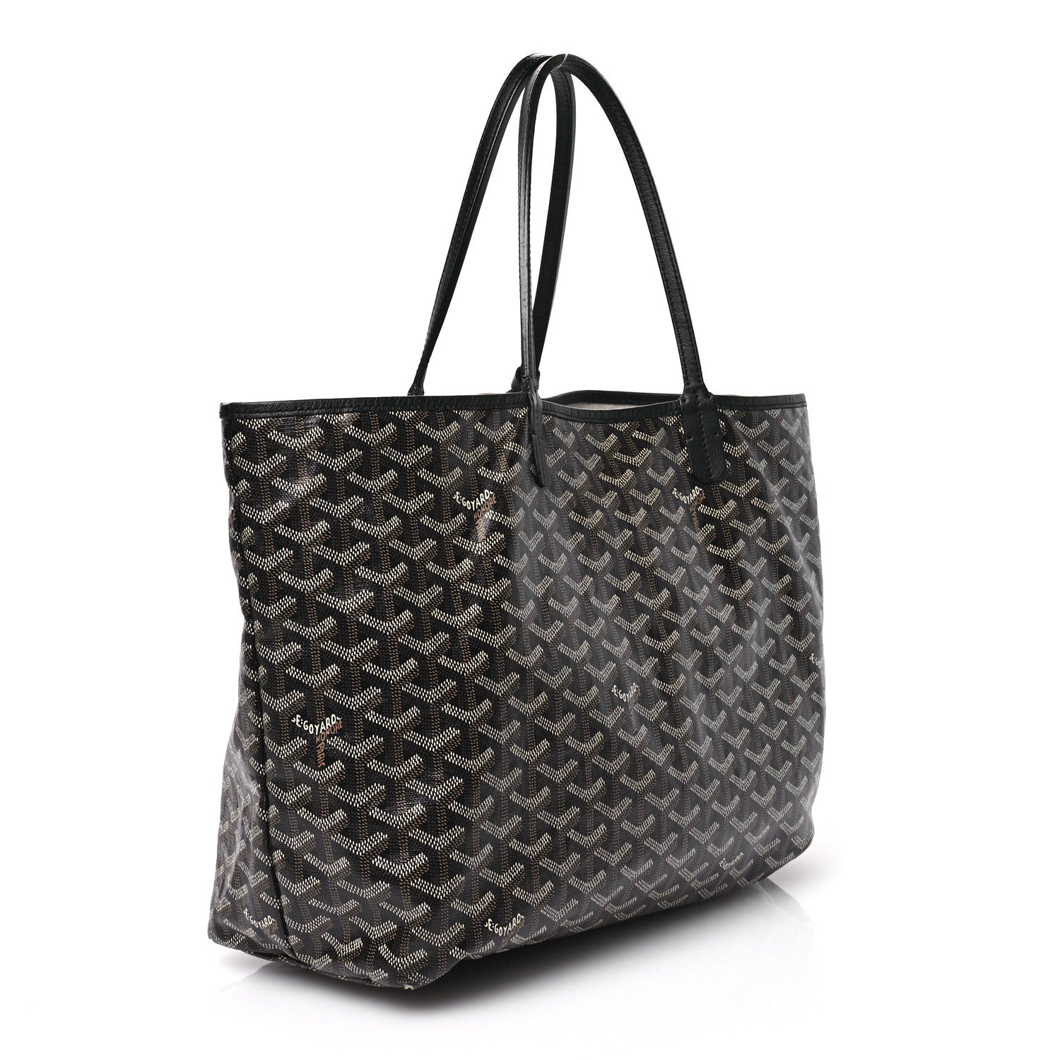 Goyard Goyardine Saint Louis PM Black 6 of 18