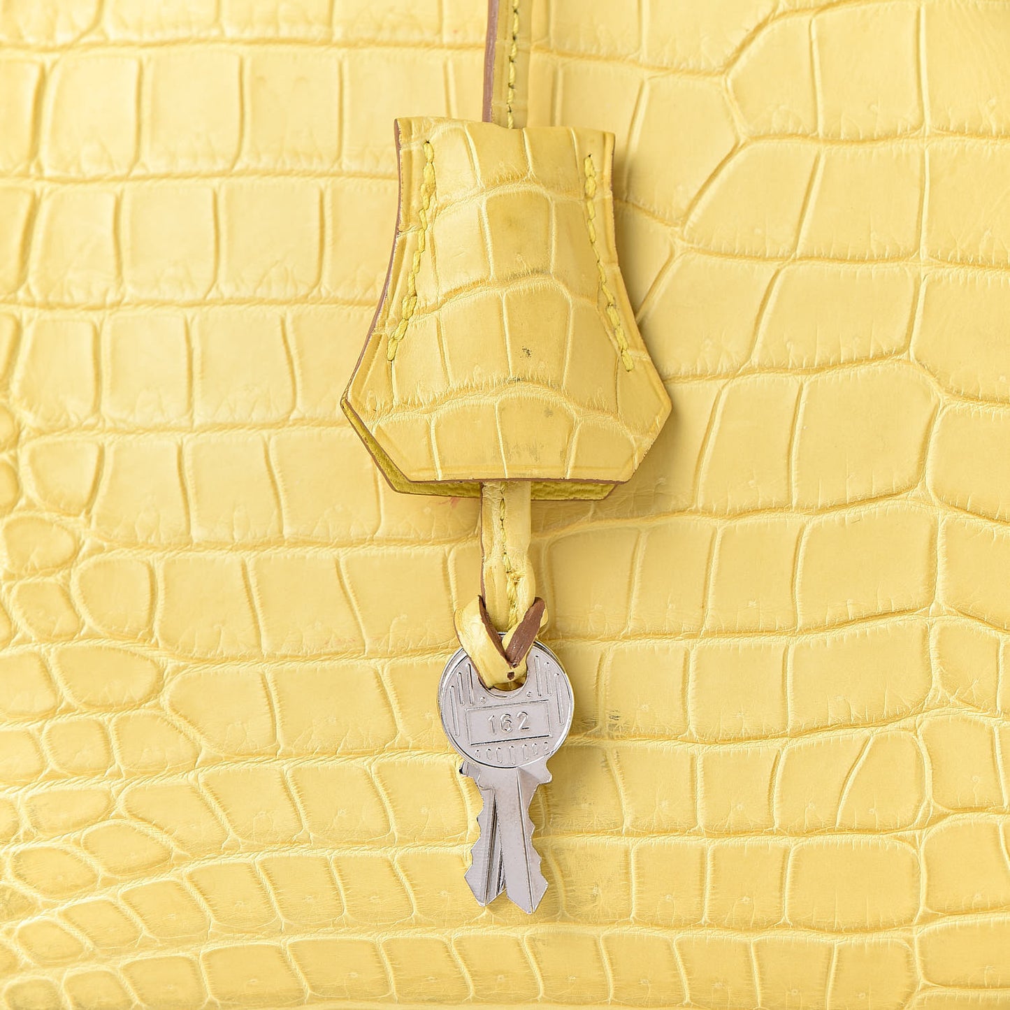 Matte Porosus Crocodile Birkin 35 Mimosa