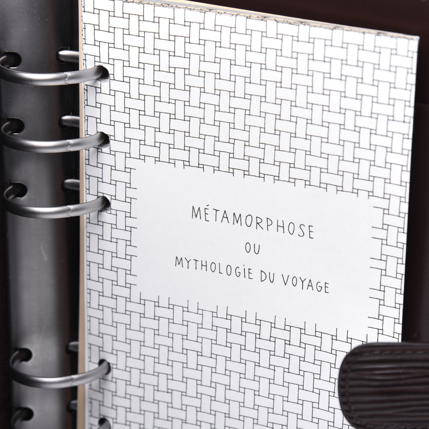 Louis Vuitton Epi Medium Ring Agenda Cover Moka 7 of 14