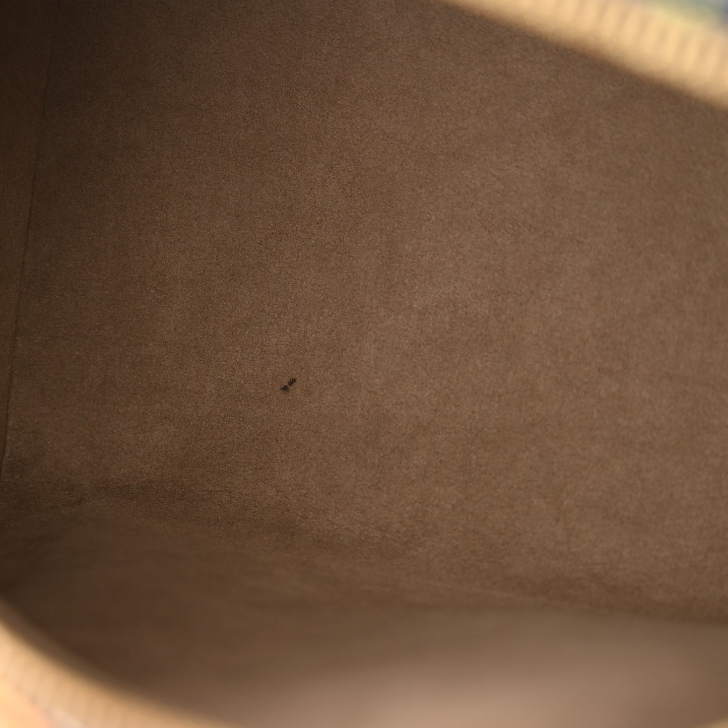 Monogram Multicolor Speedy 30 Black