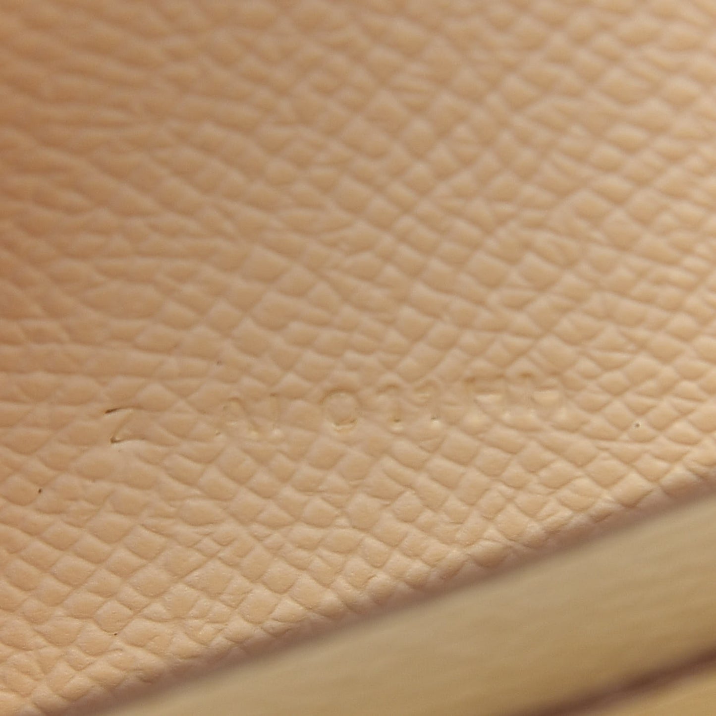 Epsom Alligator Lizard Constance Wallet To Go Nata