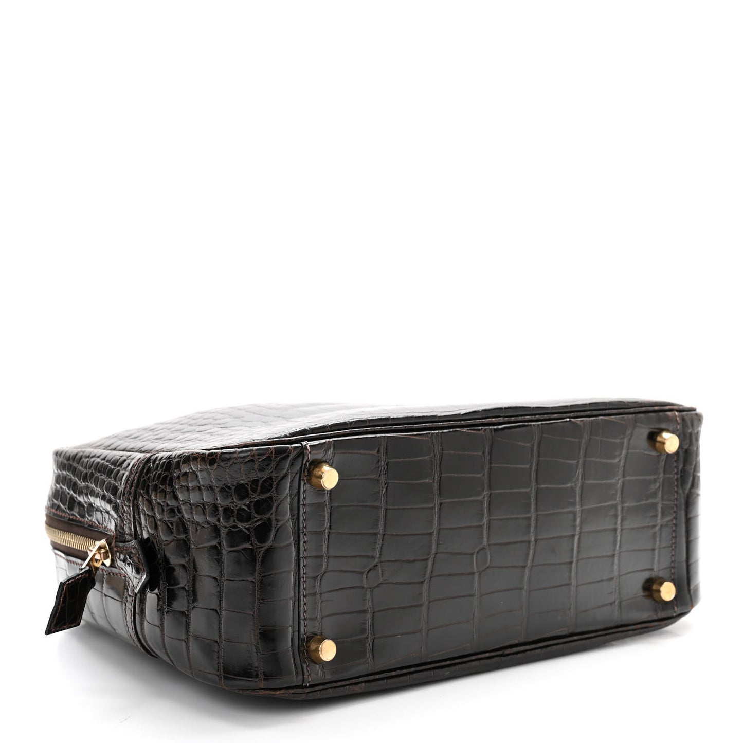 Shiny Alligator Plume 28 Ebene