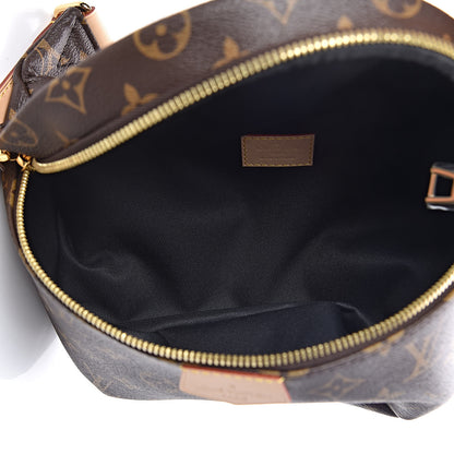 Louis Vuitton Monogram Bumbag 7 of 12
