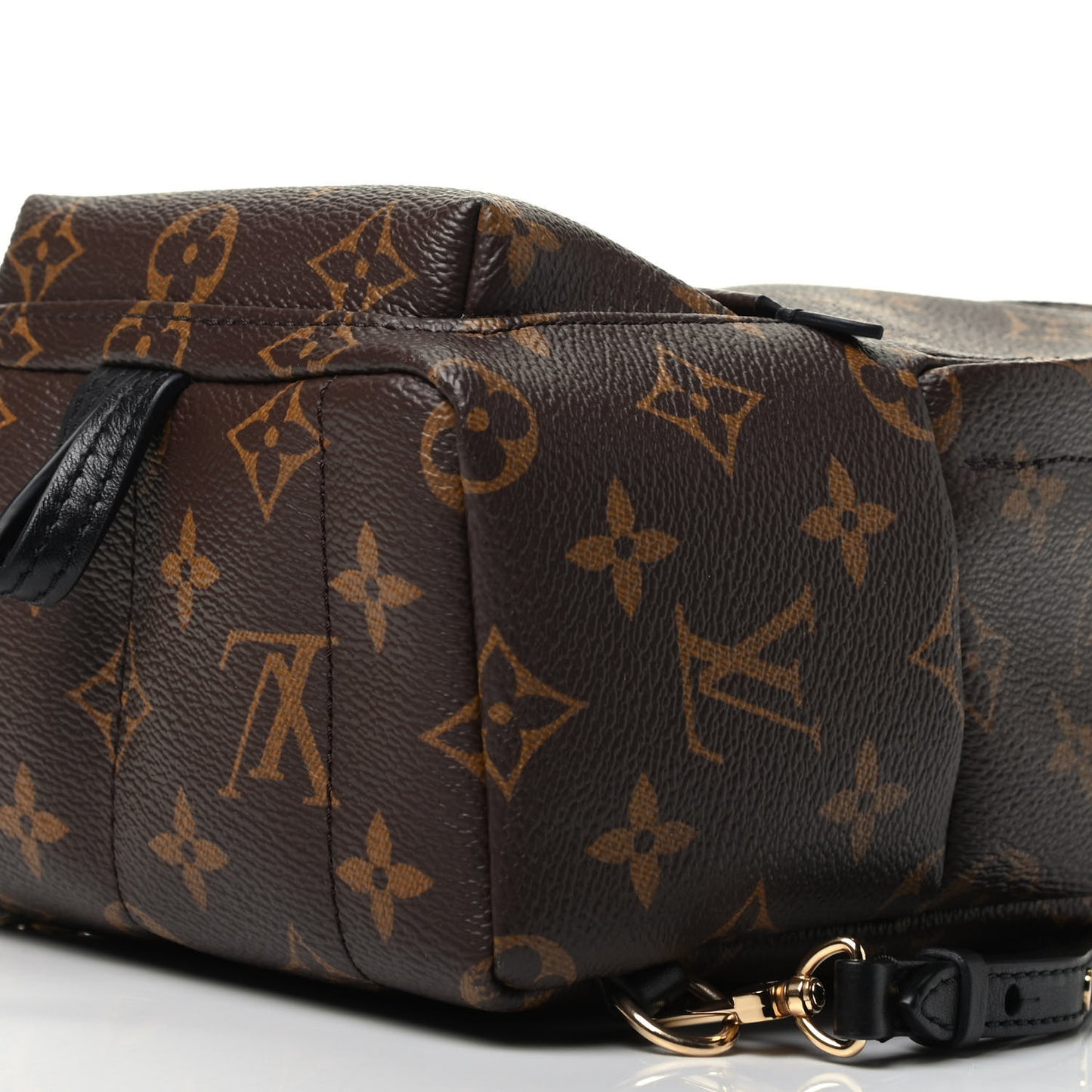 Monogram Palm Springs Backpack Mini