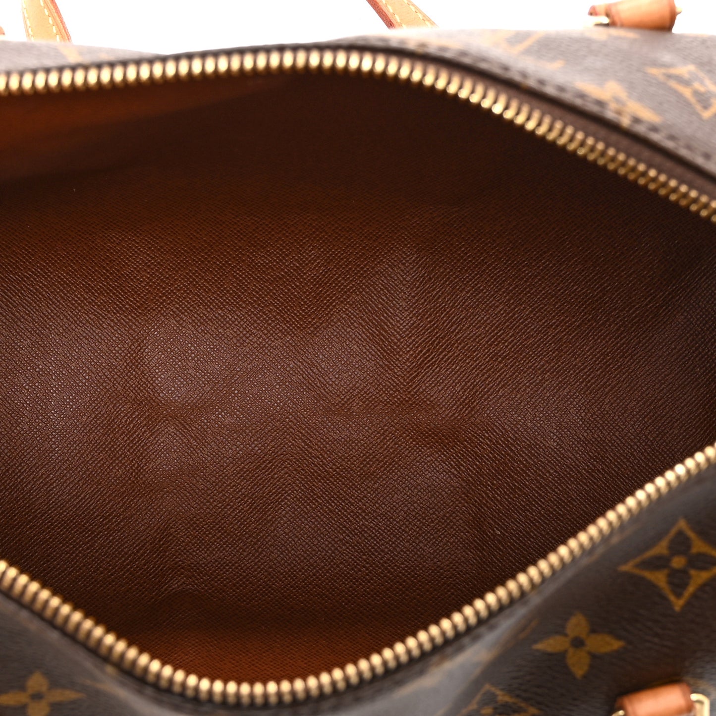 Monogram Papillon 30 with Companion