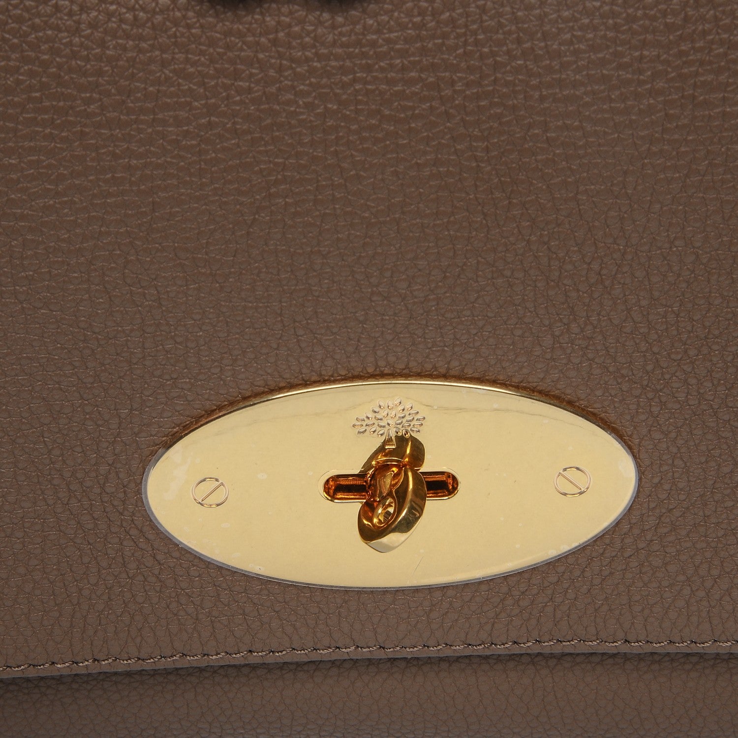 Mulberry Small Classic Grain Medium Lily Dark Beige 6 of 10