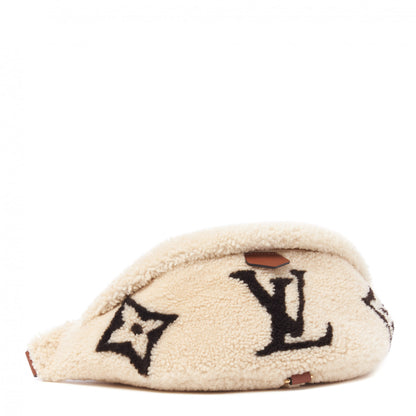 Louis Vuitton Monogram Teddy Bumbag 3 of 8