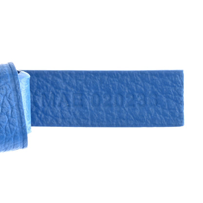 Goyard Goyardine Saint Louis PM Sky Blue 8 of 15