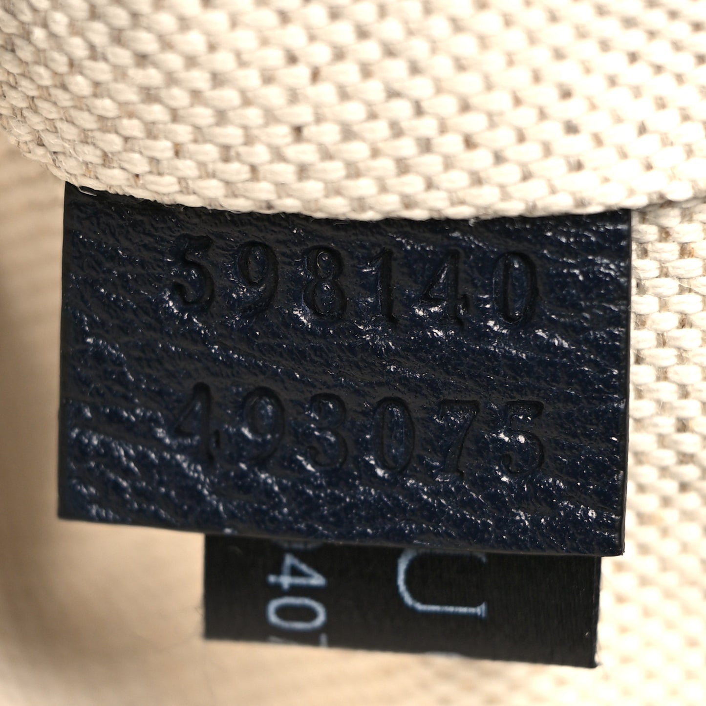 Textured Dollar Calfskin Web Medium Ophidia Double Buckle Backpack Blue Agata