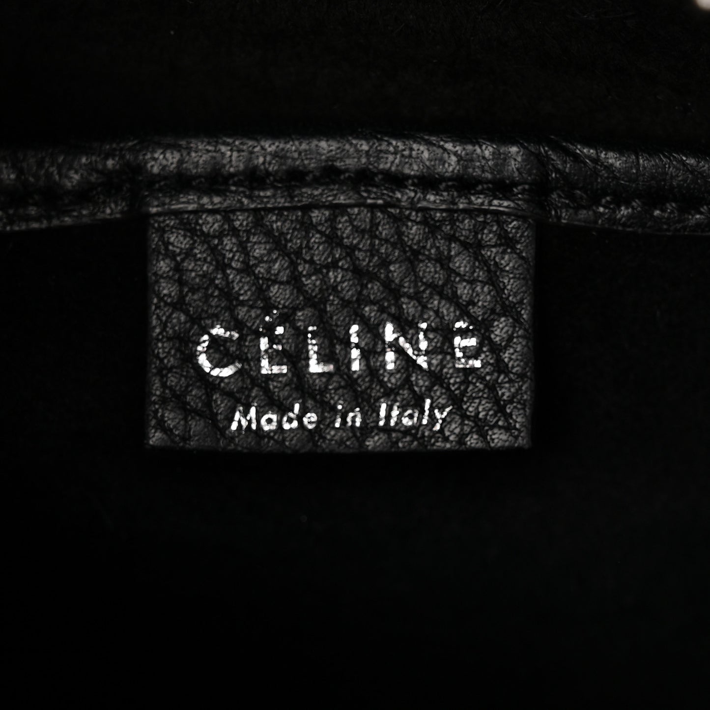 Drummed Calfskin Nano Luggage Black