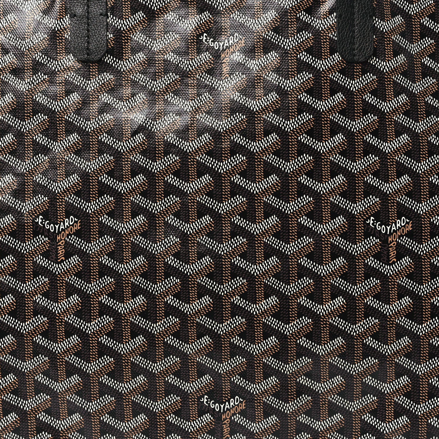 Goyard Goyardine Saint Louis PM Black 8 of 10