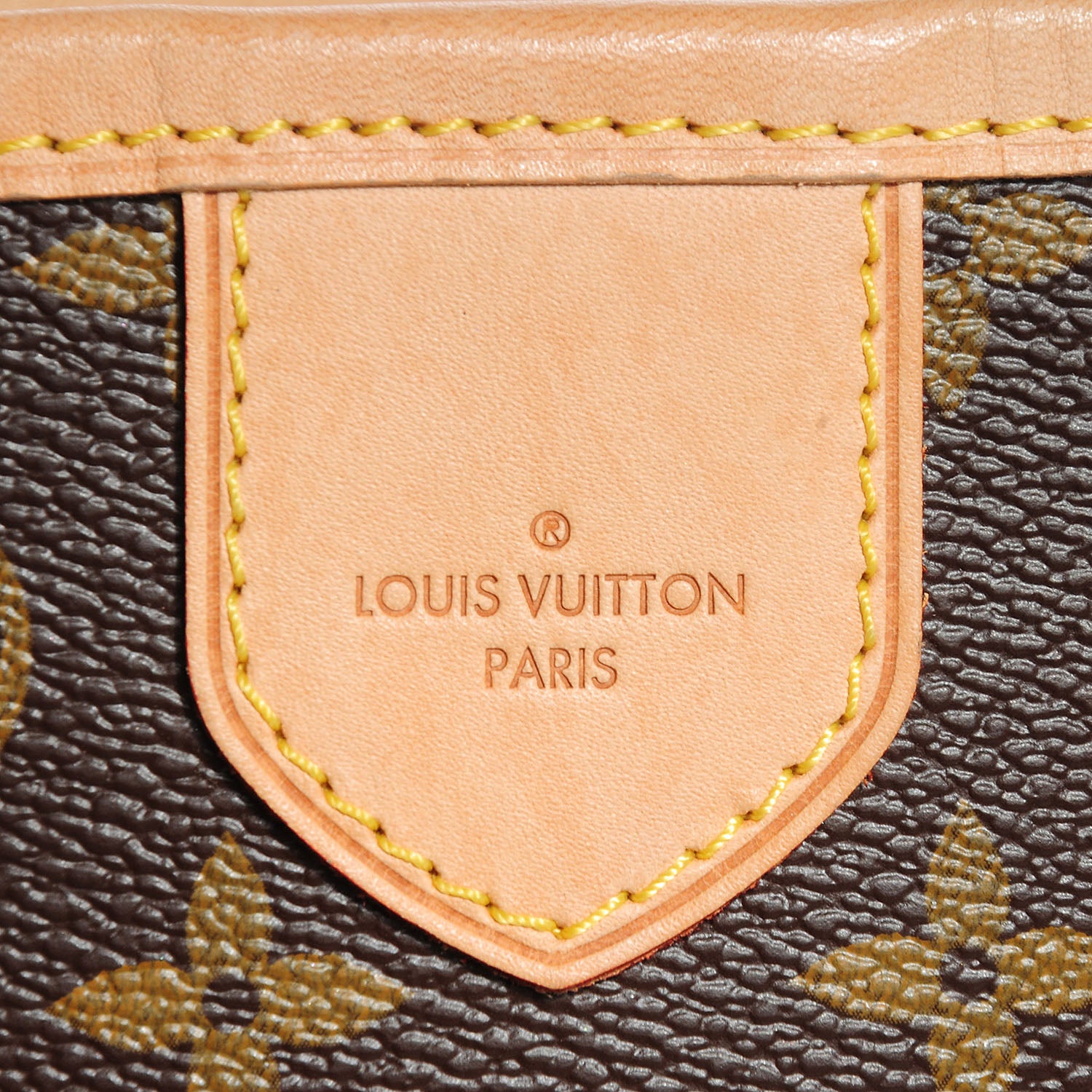 Louis Vuitton Monogram Delightful PM 6 of 9