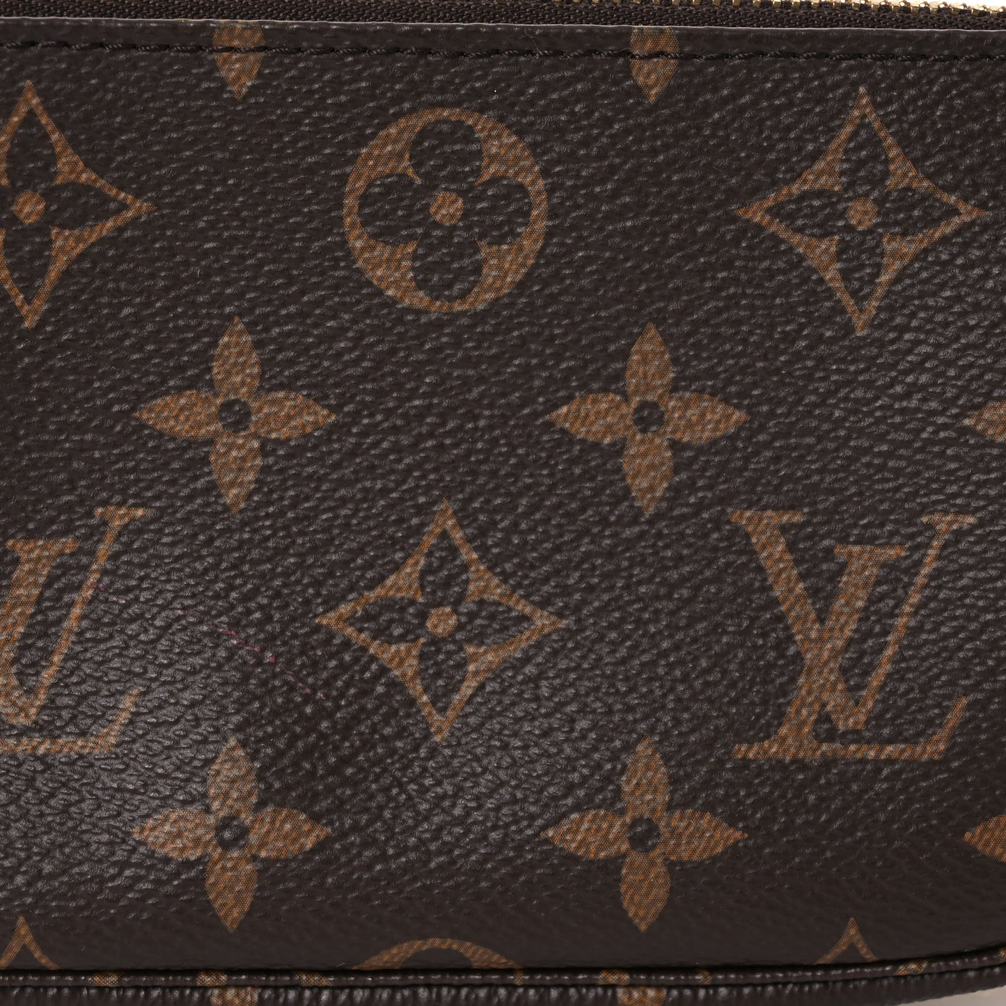 Monogram Mini Pochette Accessories
