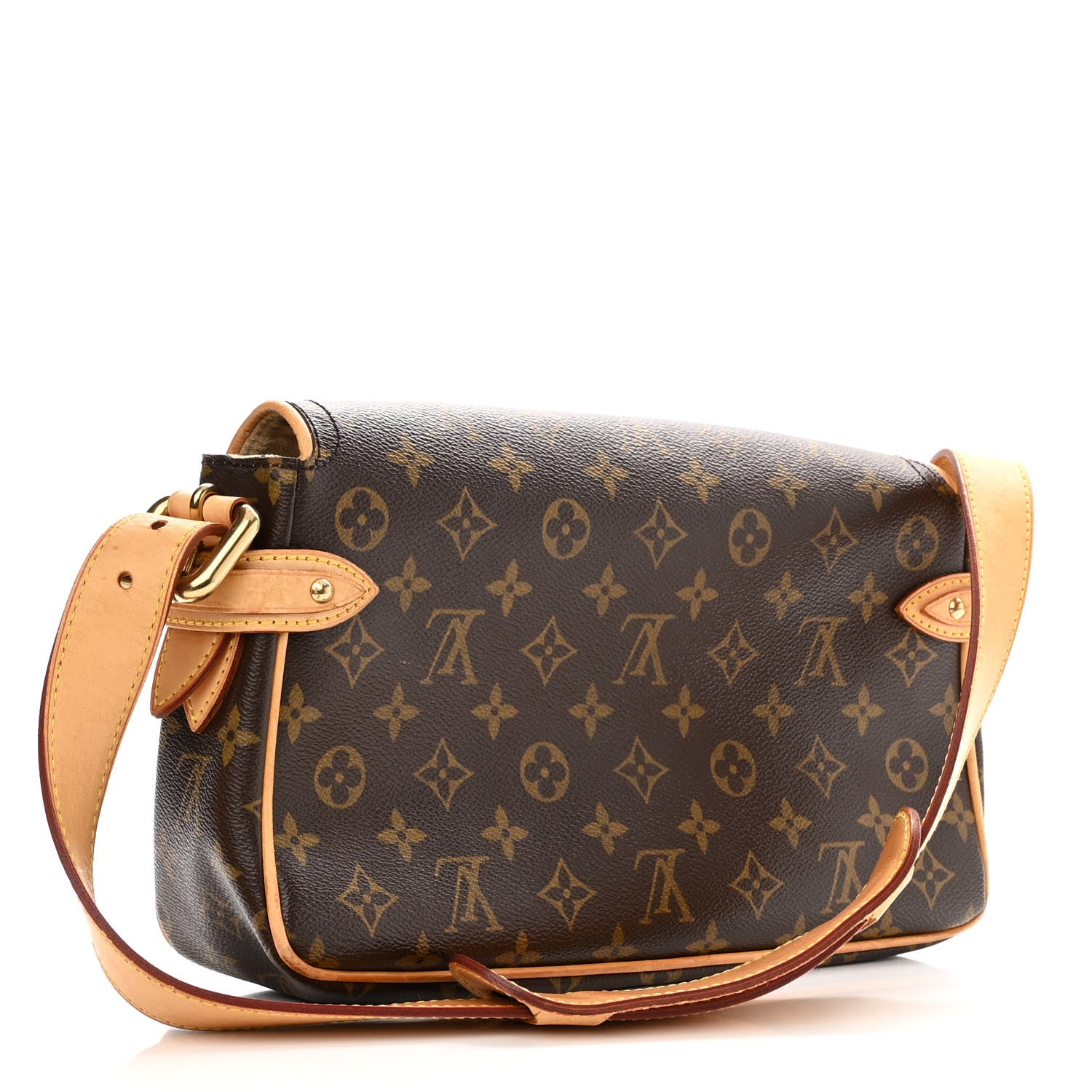 Louis Vuitton Monogram Hudson PM 3 of 13