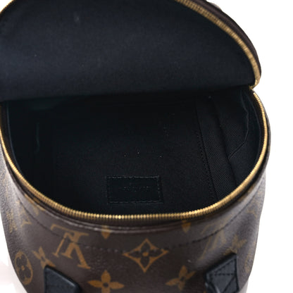 Louis Vuitton Monogram Palm Springs Backpack Mini 5 of 8