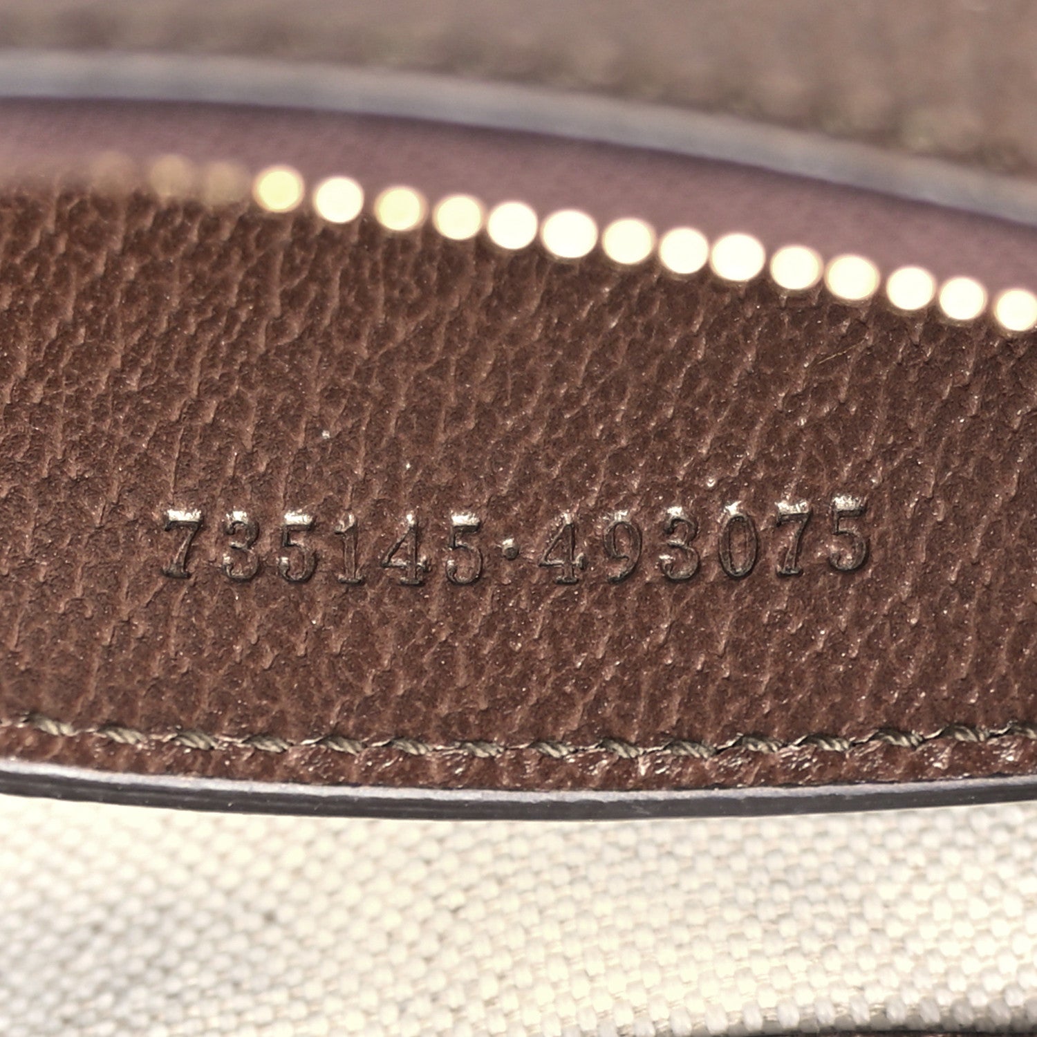 Gucci GG Supreme Monogram Textured Dollar Calfskin Small Ophidia Hobo Beige Ebony New Acero 7 of 10