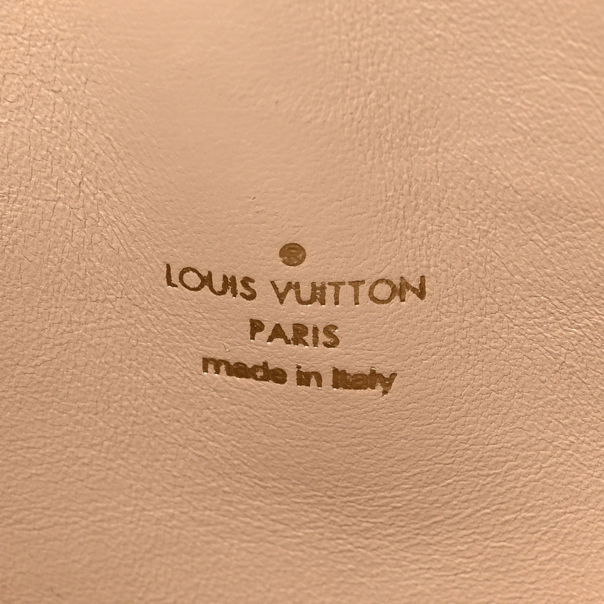 Monogram Speedy Amazon PM White Chocolat
