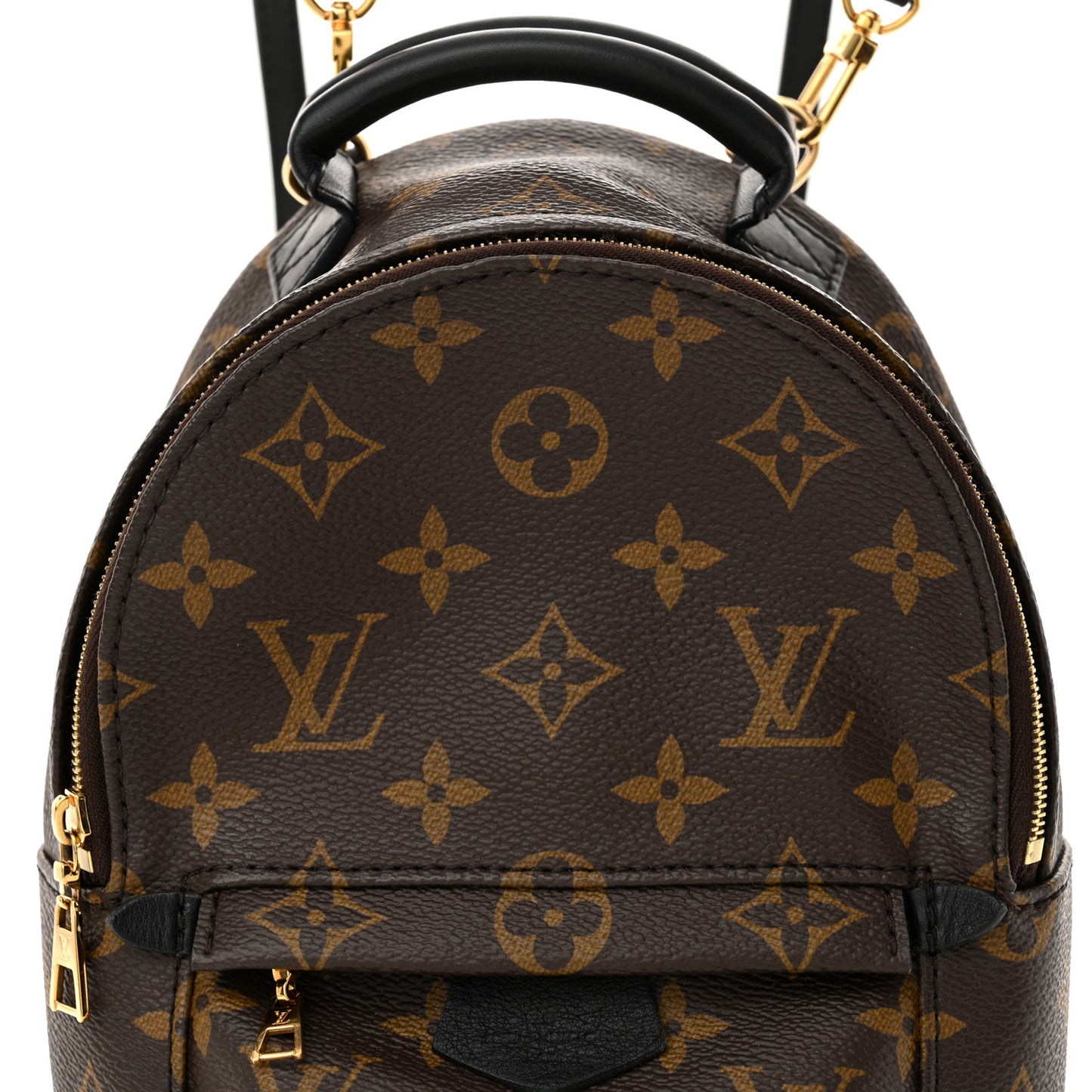 Monogram Palm Springs Backpack Mini