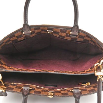 Louis Vuitton Damier Ebene Brompton 7 of 9