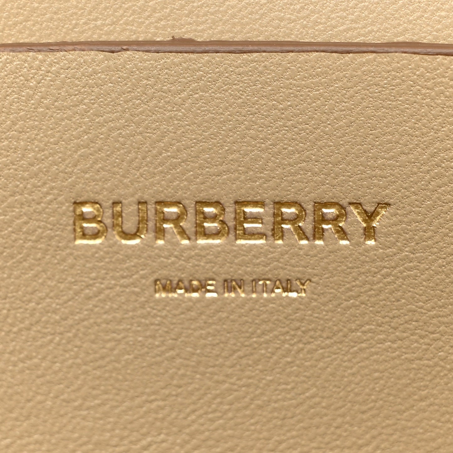 Calfskin Small TB Envelope Clutch Bag Honey