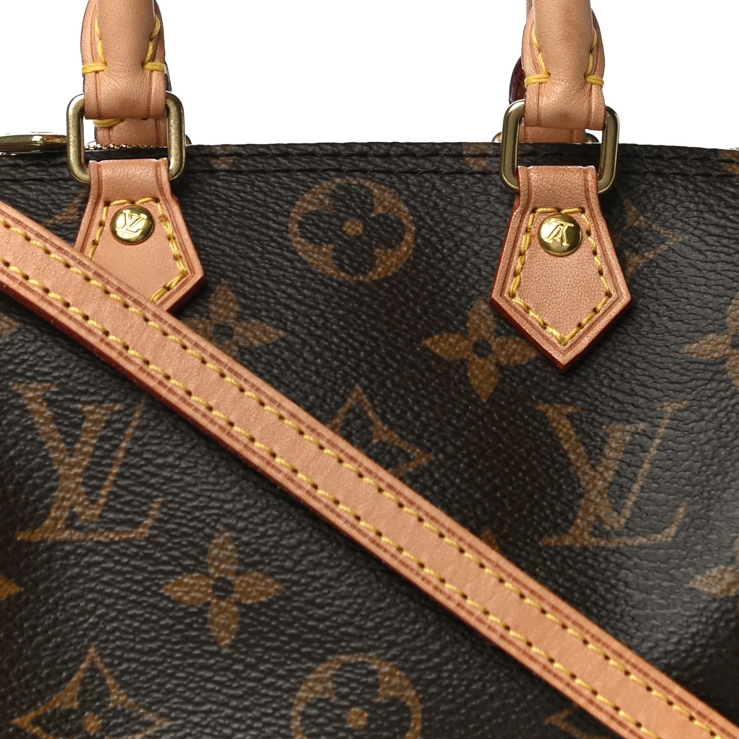 Monogram Nano Speedy