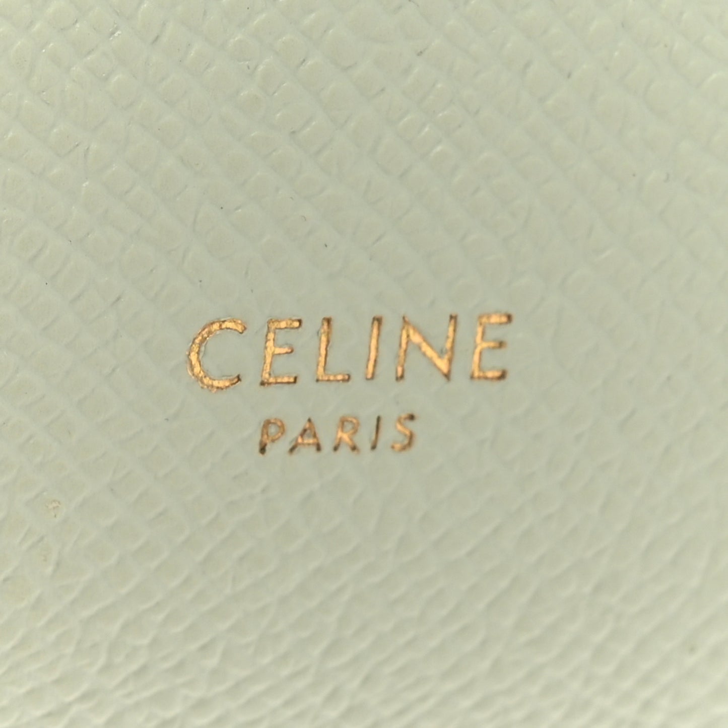 Grained Calfskin Nano Belt Bag Jade