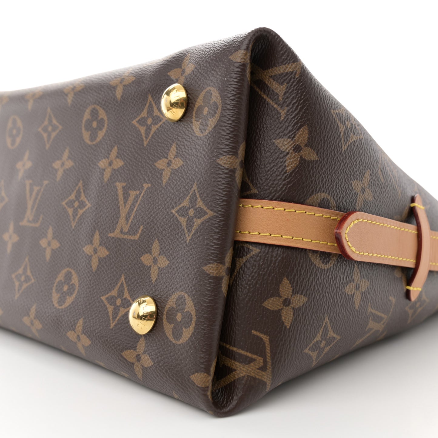 Monogram CarryAll PM