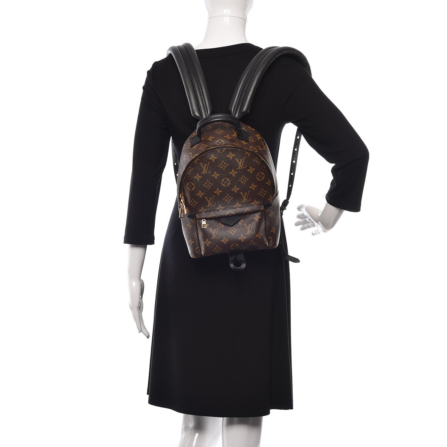 Louis Vuitton Monogram Palm Springs Backpack PM 2 of 12