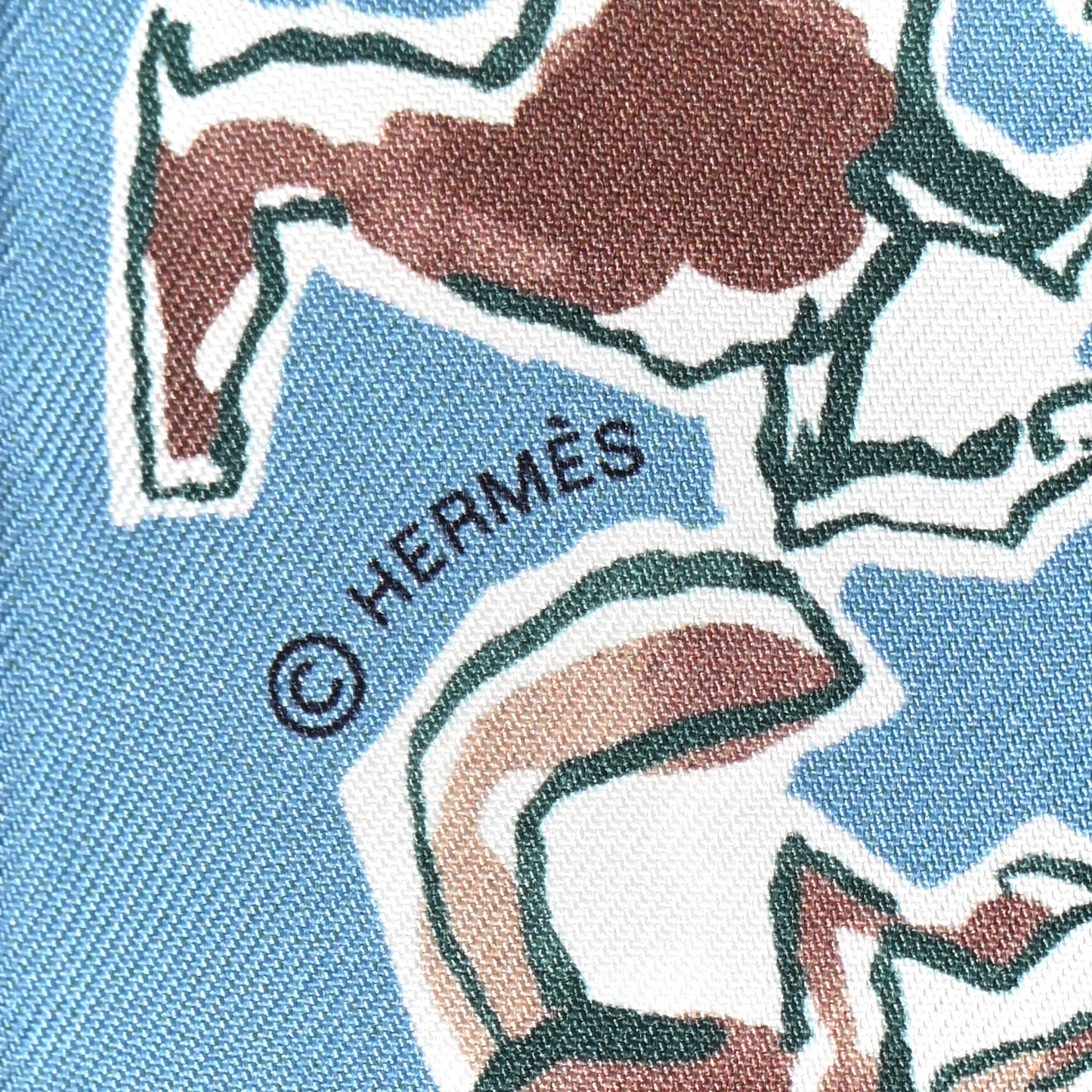 Silk Chevaux En Liberte Twilly Bleu Glacier Beige