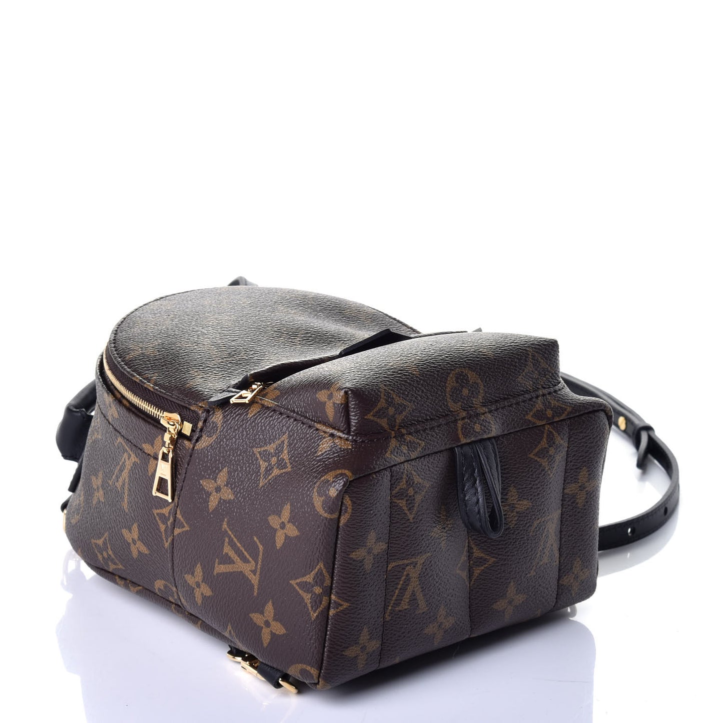 Monogram Palm Springs Backpack Mini