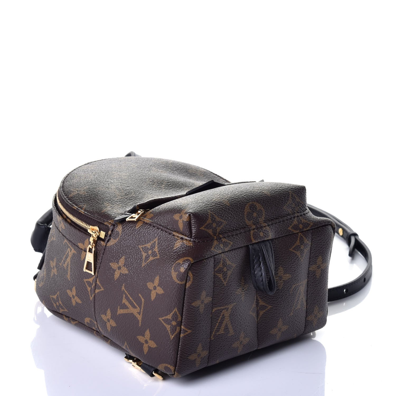 Louis Vuitton Monogram Palm Springs Backpack Mini 3 of 8