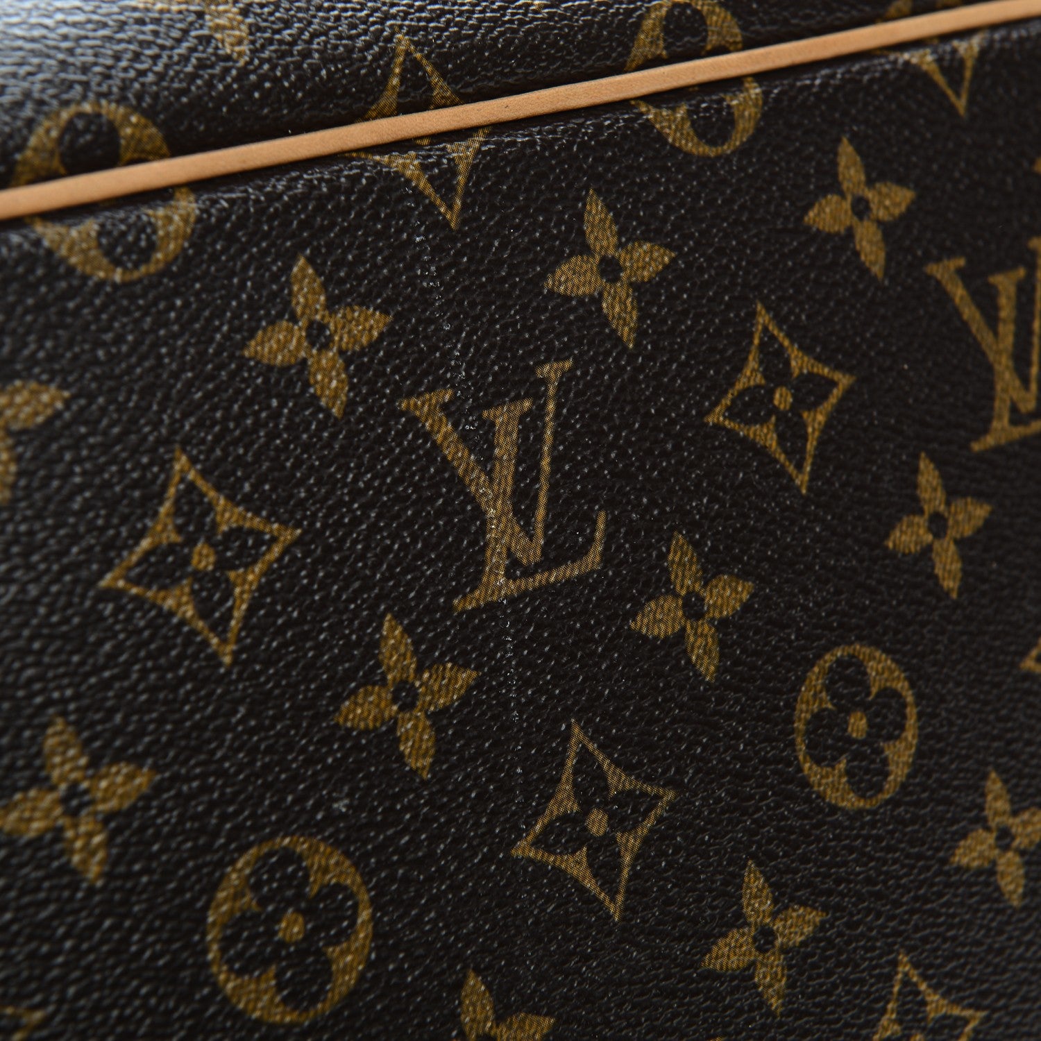 Louis Vuitton Monogram Palermo PM 10 of 11