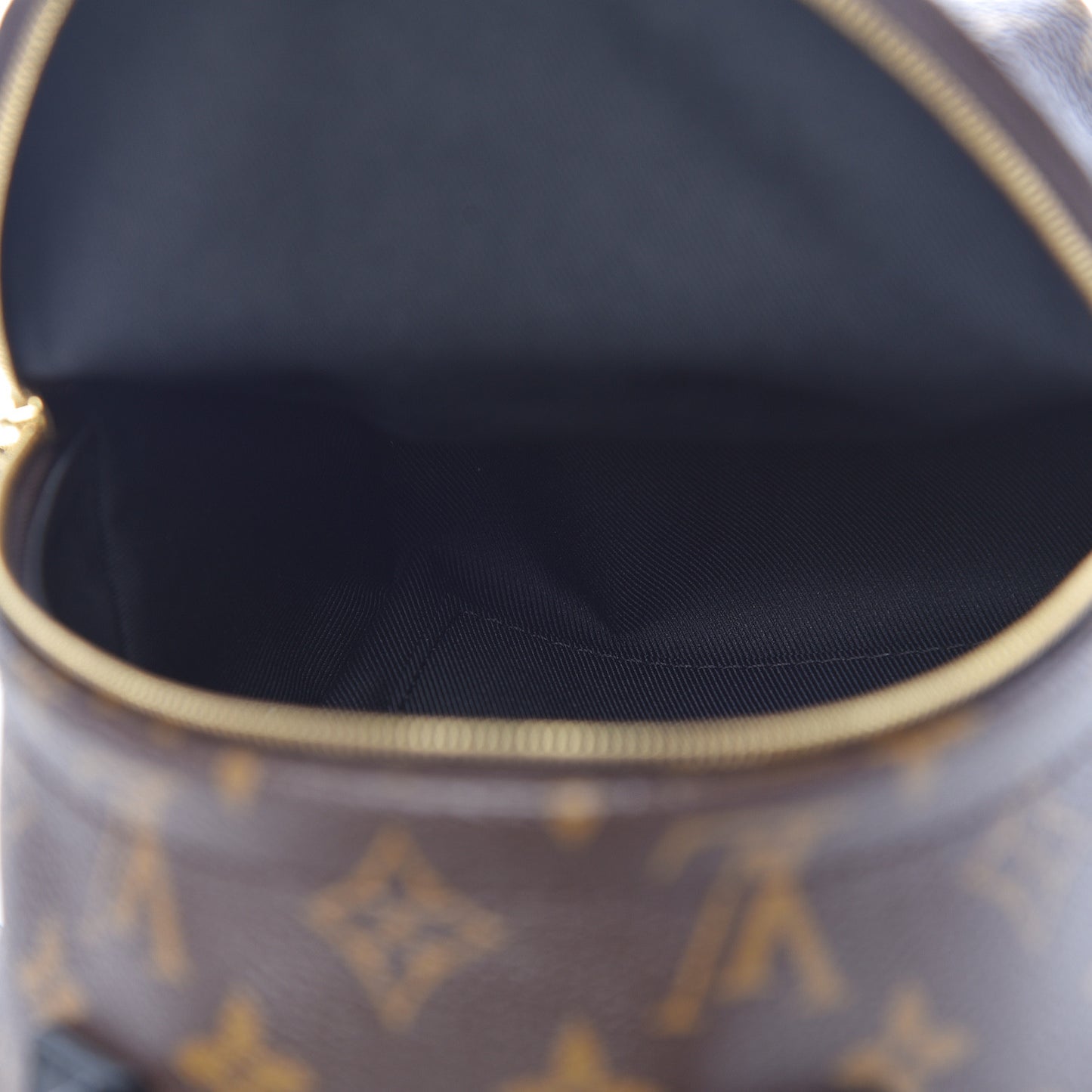Monogram Palm Springs Backpack Mini