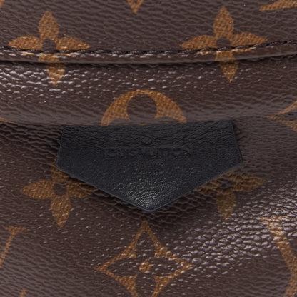 Louis Vuitton Monogram Palm Springs Backpack PM 7 of 8