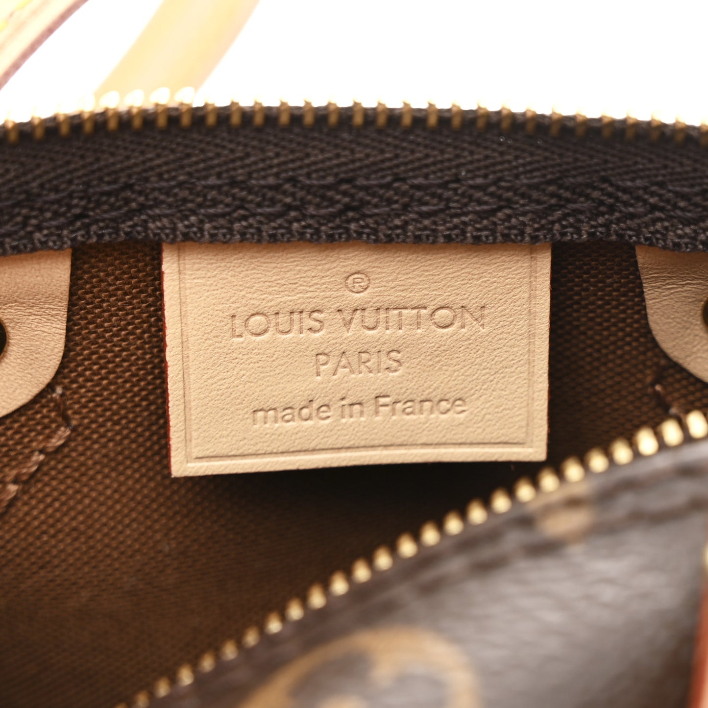 Monogram Nano Speedy