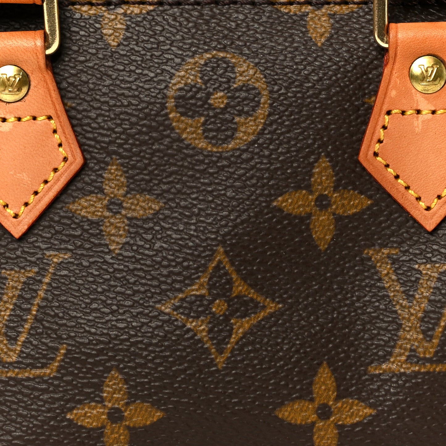 Monogram Mini Sac HL Speedy