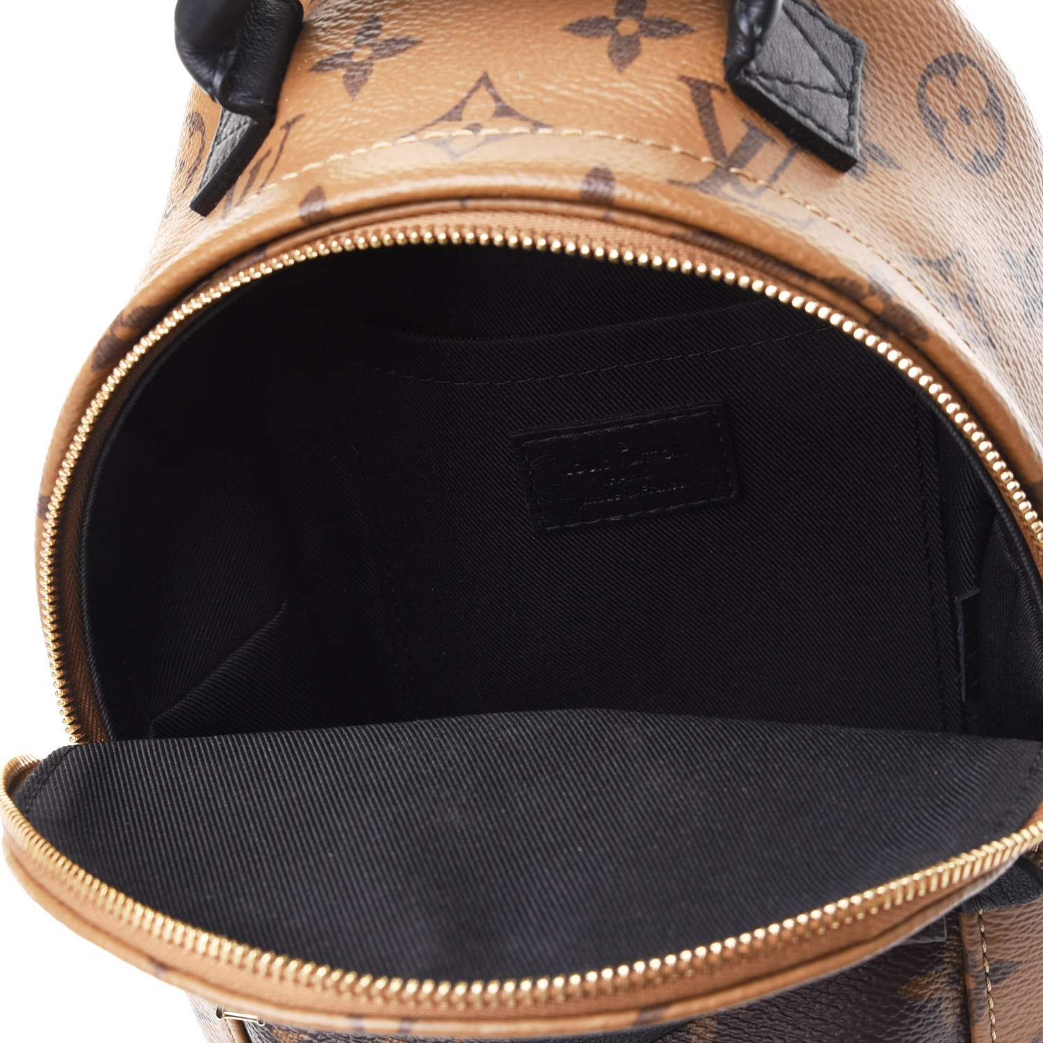 Louis Vuitton Reverse Monogram Palm Springs Backpack Mini 4 of 4