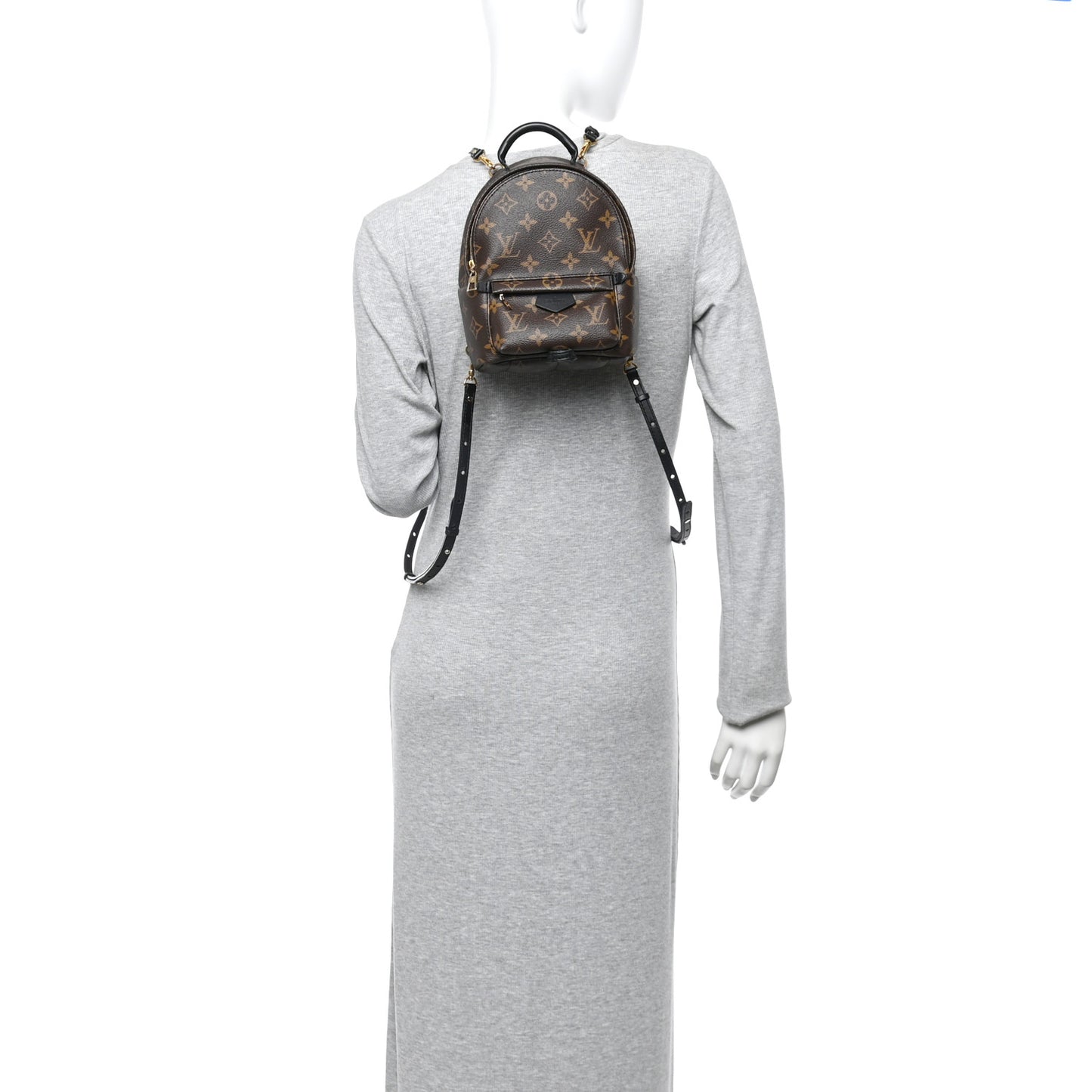 Monogram Palm Springs Backpack Mini