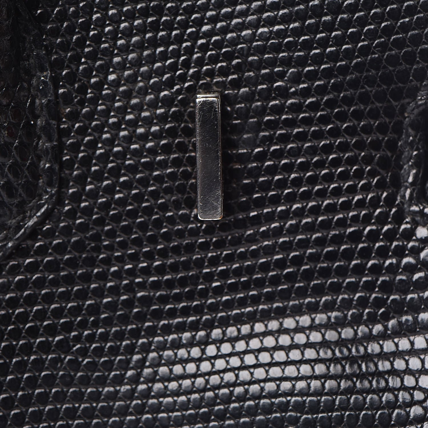 Hermes Lizard Birkin 25 Black 33 of 50