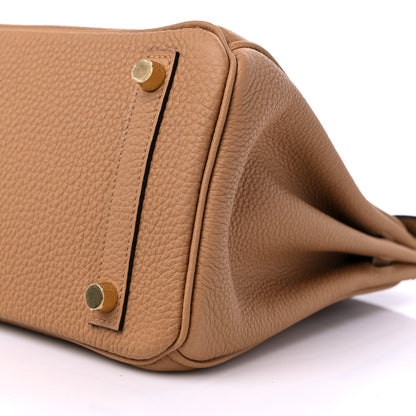 Hermes Togo Birkin 25 Chai 9 of 10
