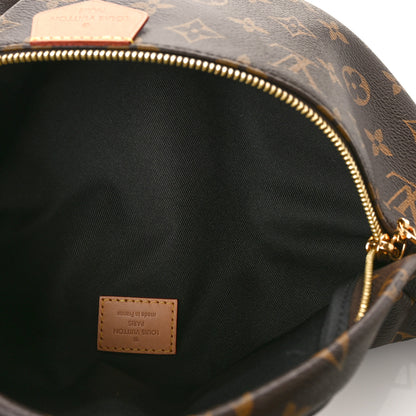 Louis Vuitton Monogram Bumbag 5 of 9