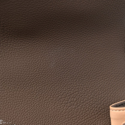 Delvaux Crispy Calfskin MM Tempete Satchel Tourterelle 9 of 9