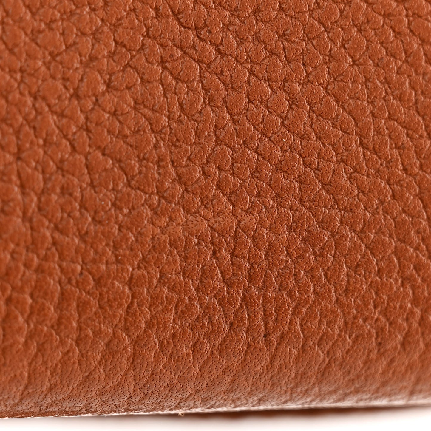 Barenia Faubourg Videpoches Fauve Gold