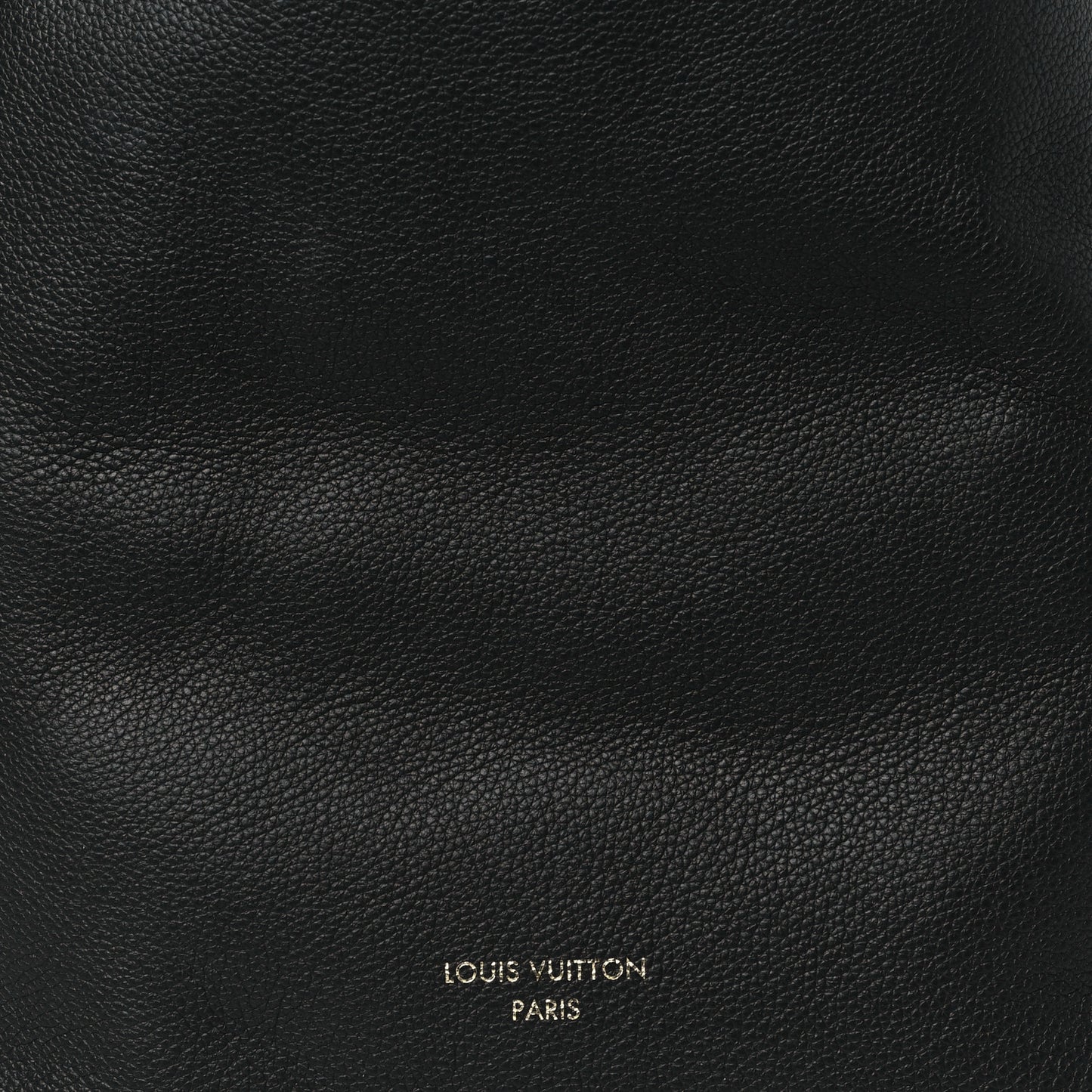 Grained Calfskin Low Key Hobo PM Black