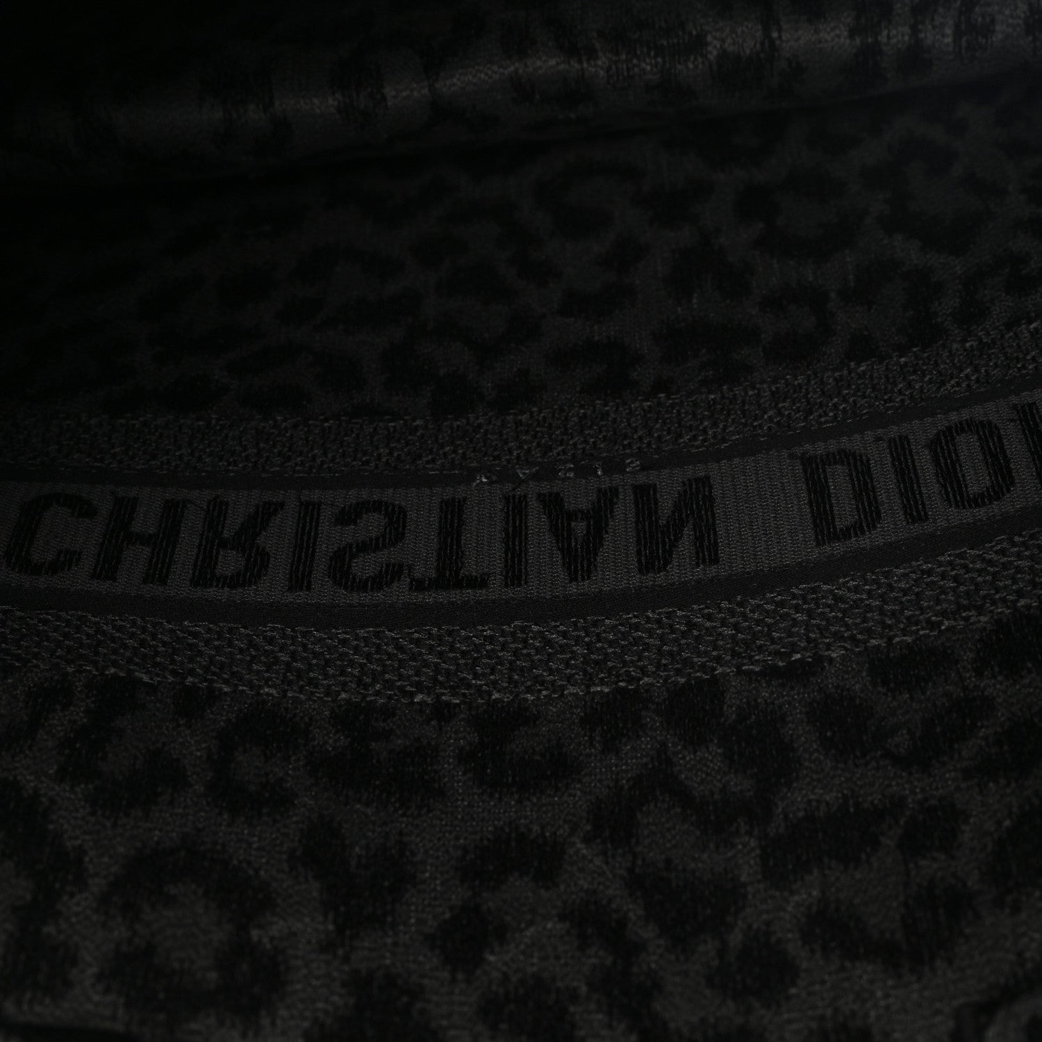 Christian Dior Canvas Mizza Embroidered Large Leopard Book Tote Grey 11 of 11