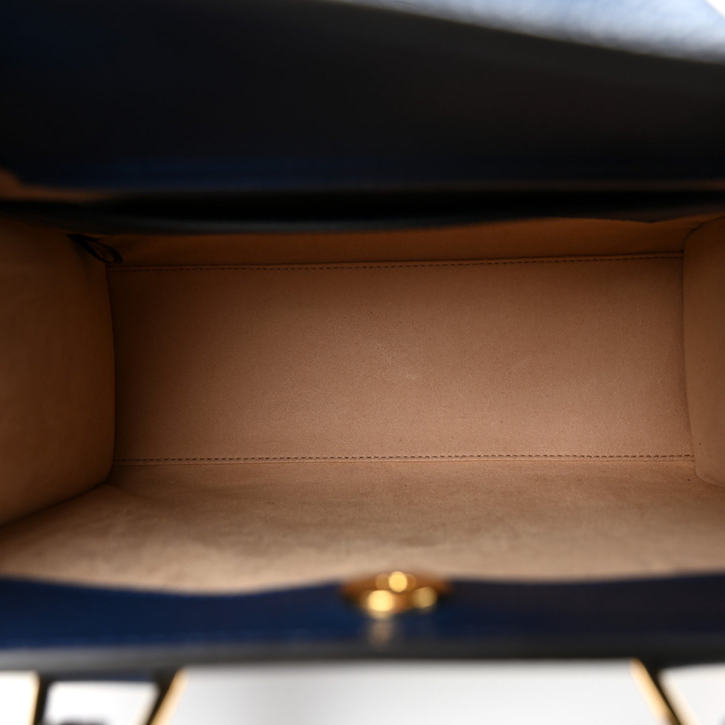 Textured Dollar Calfskin Web Small Diana Tote Bag Royal Crop