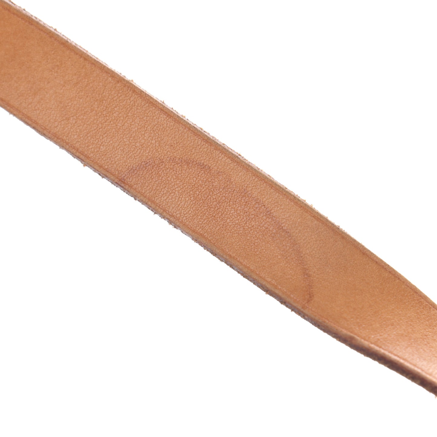 Monogram Cartouchiere 22