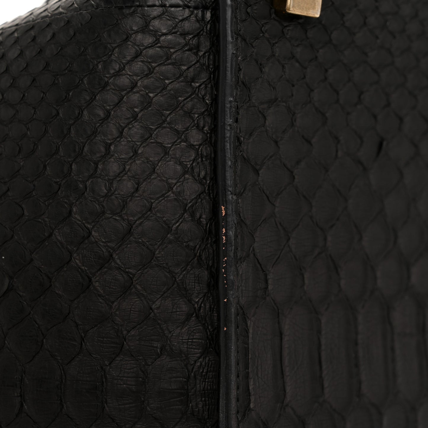 Snakeskin Medium Phantom Luggage Black
