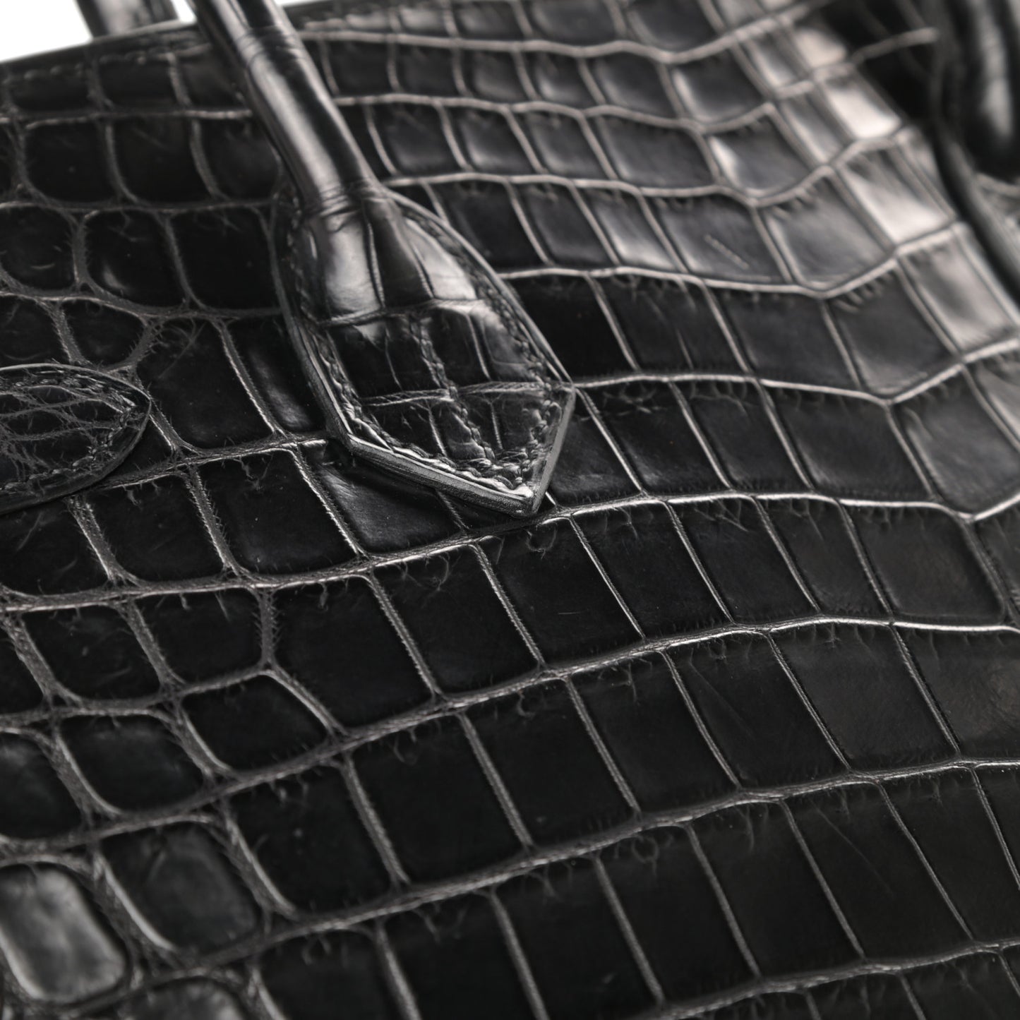 Matte Niloticus Crocodile Birkin 30 Black