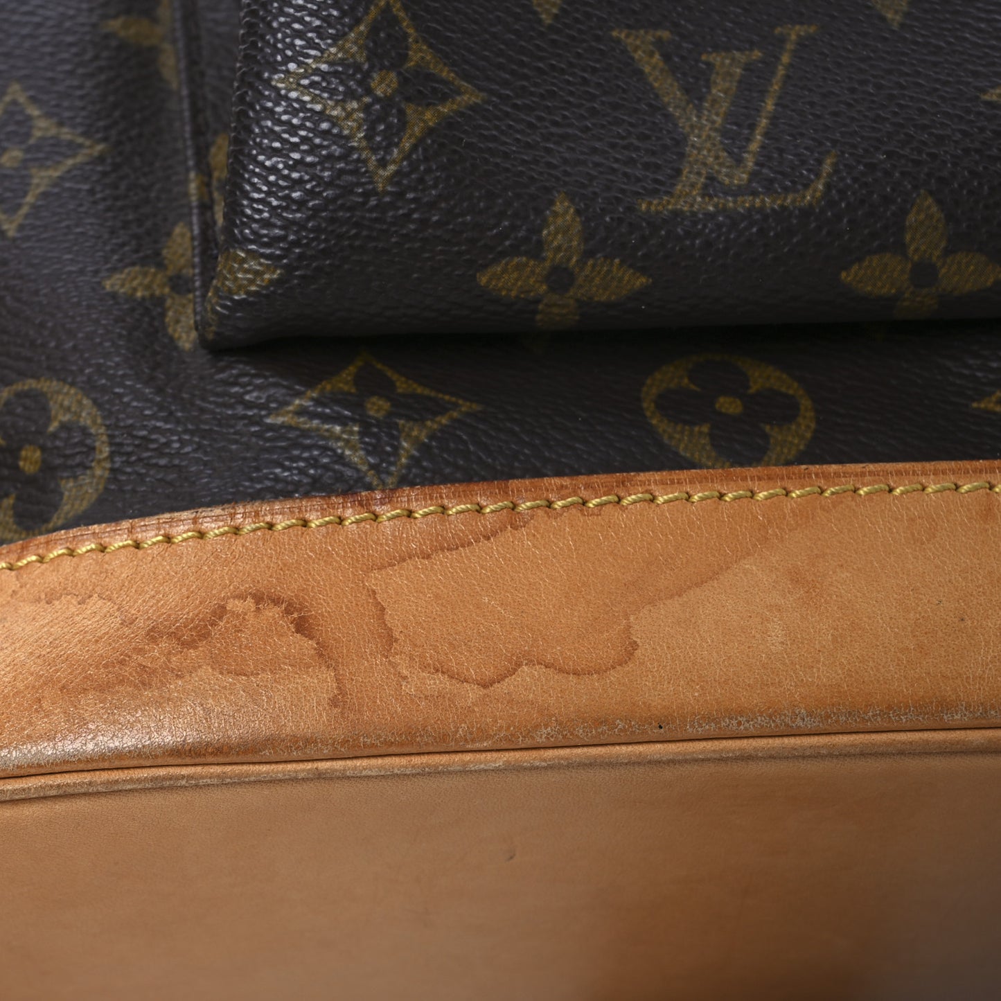 Monogram Montsouris GM Backpack
